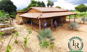 Imagem 7: Fazenda 28 Alqueires Próximo a Palmas-To