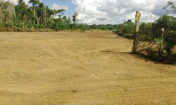 Imagem 6: Vendo um terreno