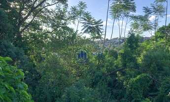 Imagem 4: Terreno à venda, 2106 m² por R$ 3.500.000,00 - Centro - Novo Hamburgo/RS