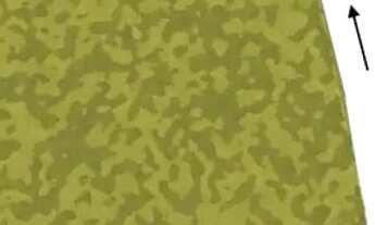 Imagem 4: Casa com terreno de 20.000.00m² (vinte mil metros m²) Lindo e perto de tudo