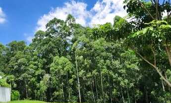 Imagem 4: Lindo Terreno (Duplo) Tamboré 11 em Alphaville - Natureza Plena