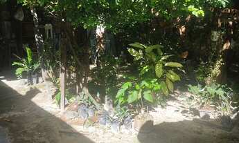 Imagem 4: Casa Casa com 2 dormitórios