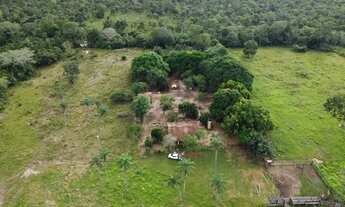 Imagem 7: Fazenda em Dueré - Tocantins Fazenda à Venda, 3291200 por R$ 5.440.000 AD13420