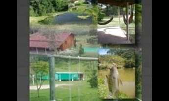 Imagem 4: Sítio felisbino