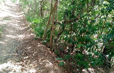 Imagem 4: Chácaras próximo a Anápolis