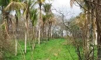 Imagem 3: Atlântica Imóveis tem excelente terreno à venda, 4940 m² - Imburo - Macaé/RJ