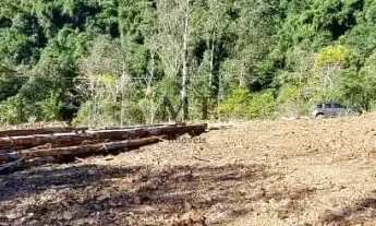 Imagem 6: Terreno bairro Joaneta, Picada Café.RS REF: 464