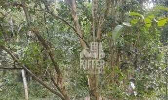 Imagem 3: Terreno à venda, 7963 m² por R$ 2.120.000,00 - Itaipu - Niterói/RJ