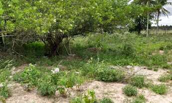 Imagem 4: Terreno 7X20 Humildes Feira de Santana