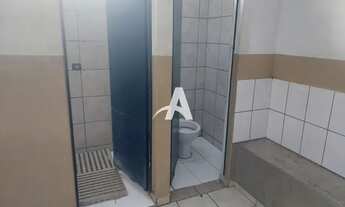 Imagem 3: Aluguel Galpão MARTA HELENA