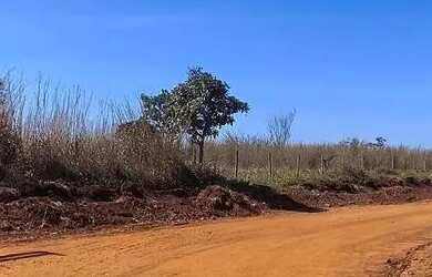 Imagem 4: Lote 5 mil m² Sítio Recreio Caraíbas