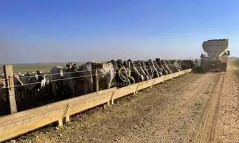 Imagem 2: Fazenda 15.000 hectares a venda em Itiquira em Mato Grosso!