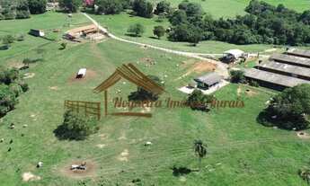 Imagem 4: Sítio com galpões de granja, 85 mil aves, área com 20,8 alqueires