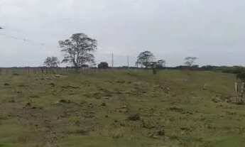 Imagem 6: Imóvel para venda possui 169400 metros quadrados em Centro - Carapebus - RJ