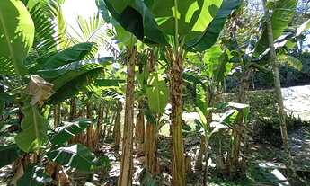 Imagem 4: Chacrinha Urbana | Escritura Pública | Casa Grande | Ótima Localização