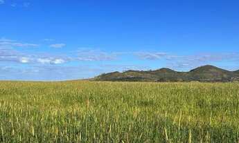 Imagem 5: Fazenda extra a venda no Goiás!!