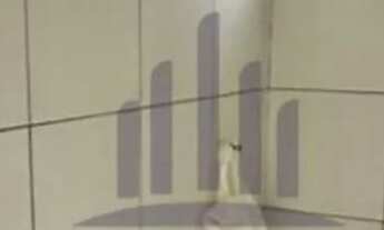 Imagem 6: Amec vile Casa com 2 dormitórios