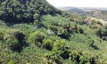 Imagem 6: Terreno de 2 alqueires à Venda em Laje das Pedras, Guarapari/ES - Produção de Banana, Água