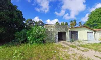 Imagem 7: ÁREA COMERCIAL NA TOMAZ LANDIM