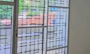 Imagem 7: Casa no Farol com 500m² de terreno e 3 quartos, sendo 1 suíte