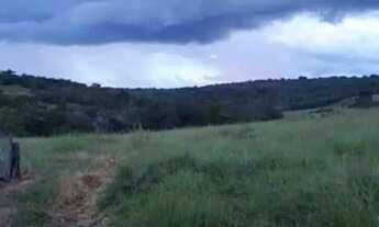 Imagem 4: Fazenda de 61 Alqueires em Palestina de Goiás Dupla Aptidão!