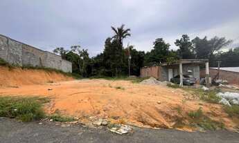 Imagem: Terreno 10x30 plano no Colônia Santo Antônio