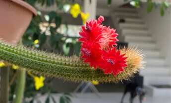 Imagem 2: Casa a venda Muritiba - bairro Santana