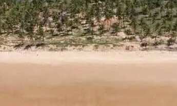 Imagem 4: CONDOMÍNIO THAI RESIDENCE [27878