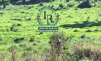 Imagem 2: Fazenda-Chácara 13 Alqueires Próximo Paraiso