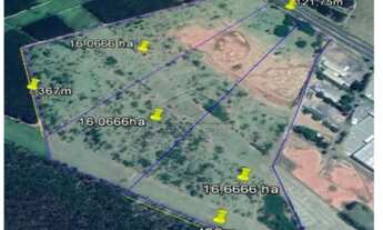 Imagem: ÁREA - RONDON