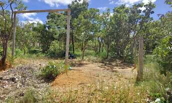 Imagem: Lote Lago Cisnes