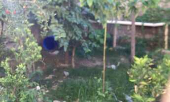 Imagem 3: Vendo um lote no Bairro jardim Teresópolis Betim, Fácil acesso para a BR 381