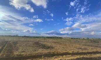 Imagem 4: Vendo Lotes / Mini Chácaras - Arapiraca/AL