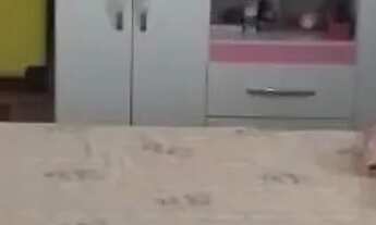 Imagem 6: Casa com 2 dormitórios à venda, 70 m² por R$ 250.000,00 - Alemanha - São Luís/MA