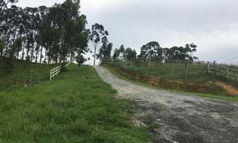 Imagem: Sítio com 4 alqueires em Caxeta