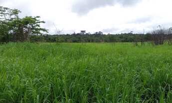 Imagem: 48 hectares a 50 km de Castanha no Estado
