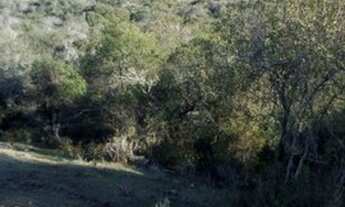 Imagem 5: Sítio.!!! st452