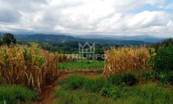 Imagem 6: Sítio Chácara com venda por R$259.000