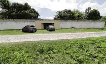 Imagem: Sítio para Venda em Lagoa do Banana Caucaia-CE