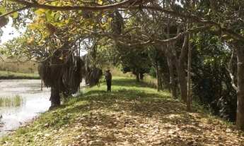 Imagem 7: Excelente Chácara em Bela Vista!