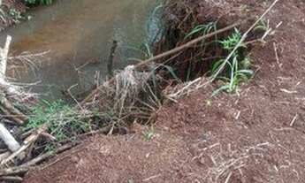 Imagem 6: Chácara com 2 dormitórios à venda, 12151 m² por R$ 220.000,00 - Ribeirão Jataizinho - Ass