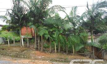 Imagem 7: Terreno | Joinville