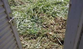 Imagem 2: Terreno Padrão em Ribeirão Preto