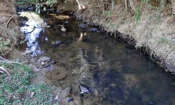 Imagem 2: Lindo terreno a apenas 3km do centro de Anitápolis -11hectares