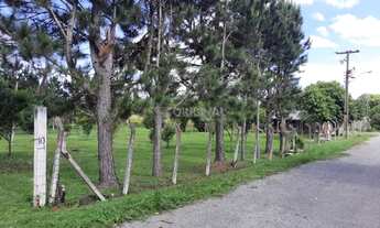 Imagem 2: Chacara para venda .