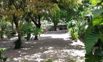 Imagem 7: SITIO PEQUENO EM JÁUA