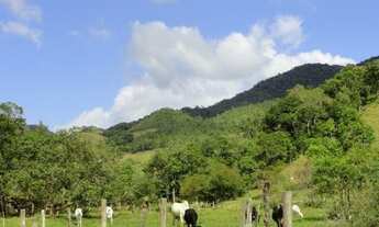 Imagem 5: Belissimo Sitio Em São João Batista