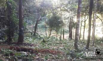 Imagem 7: Chácara a venda no Jativoca