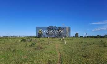 Imagem 3: Fazenda em Br 367 - Porto Seguro, BA