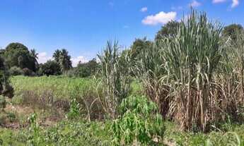 Imagem 5: Itaguaí - Terreno Padrão - Santa Cândida